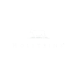 holsteins